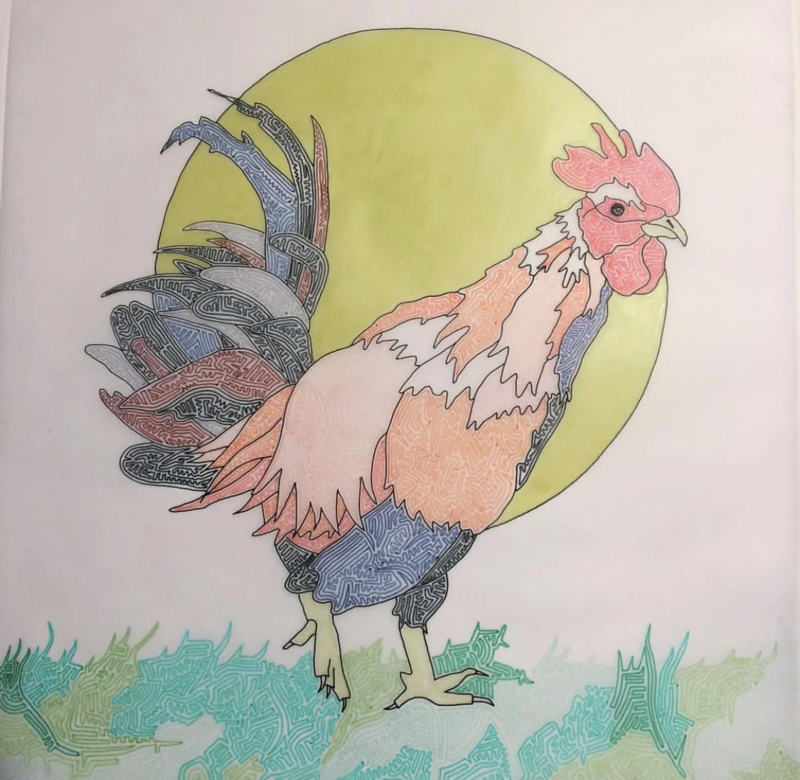 Rooster