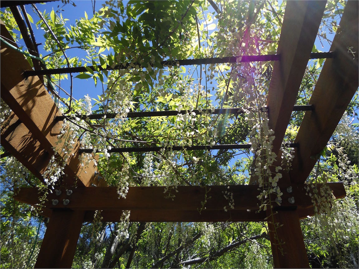 Trellis Underneath.jpg