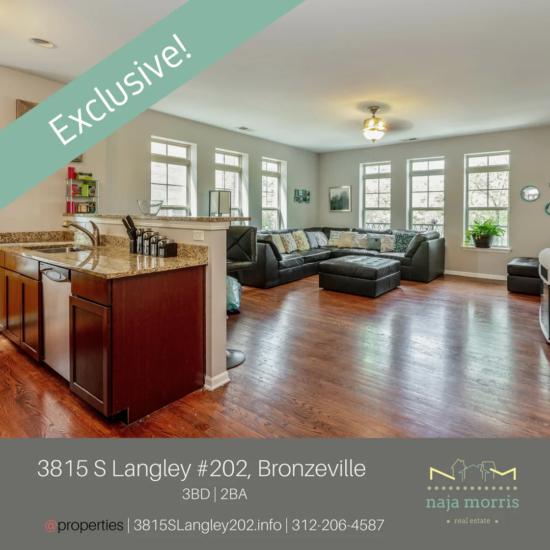 3815 S Langley #202, Chicago
