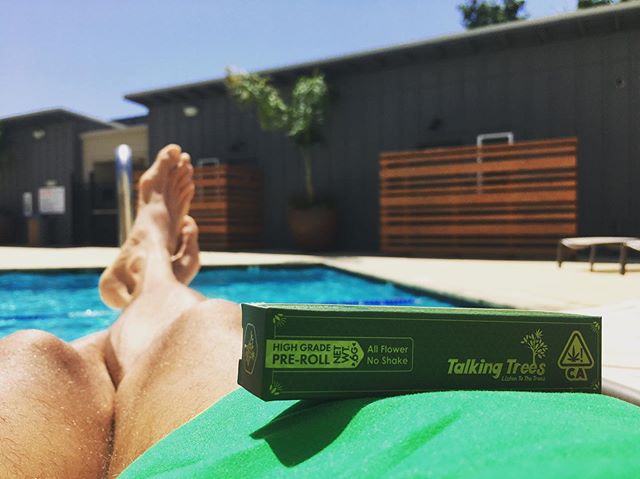 It feels like summer 
#TalkingTreesFarms keep ya right with clean organic cannabis from #Humboldt co. @talking_trees_farms #prerolls #legalcannabis #cannabis #cannabiscommunity #organic #sustainable #farm #intelligentrebellion