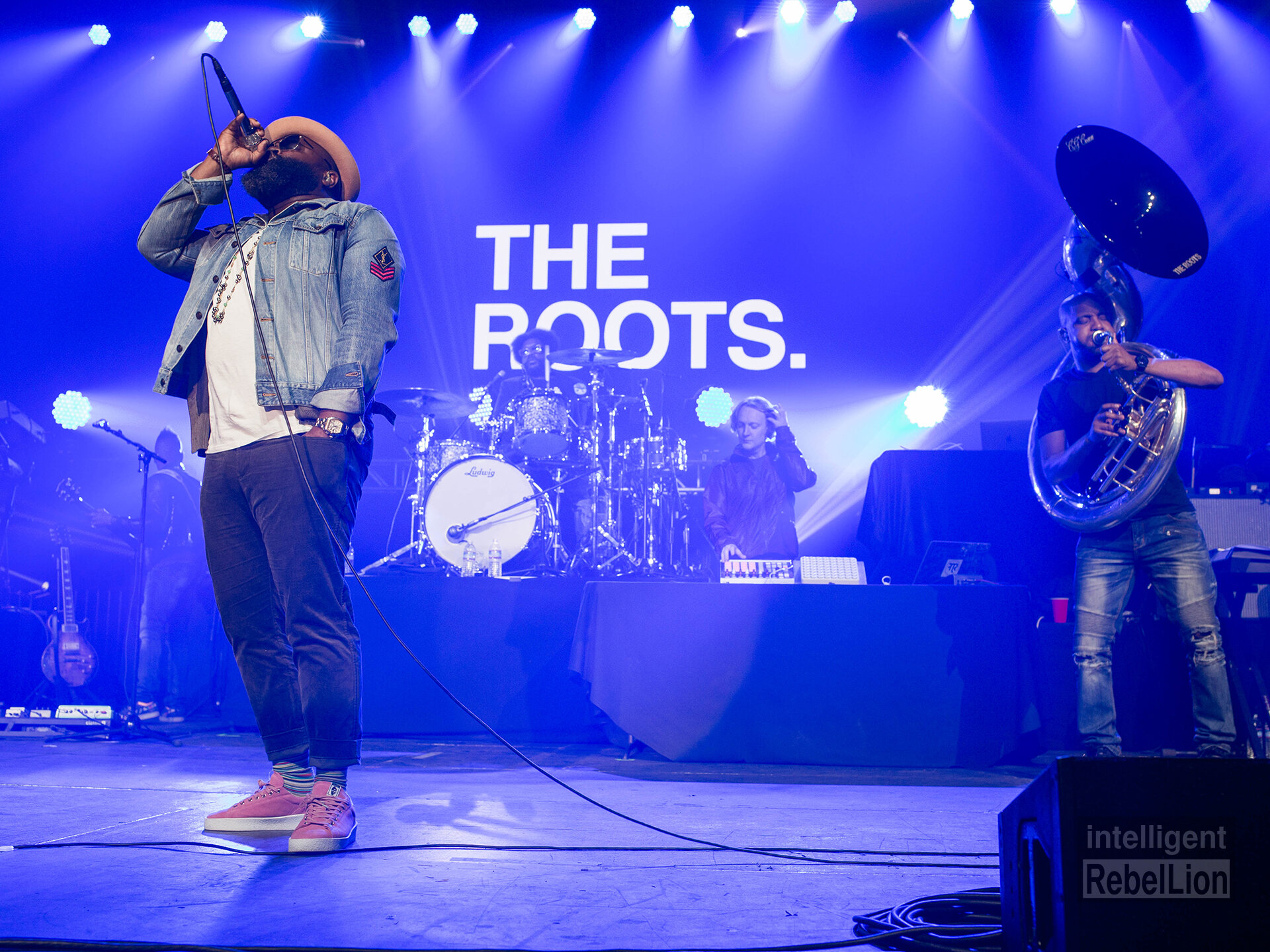 theroots.jpg
