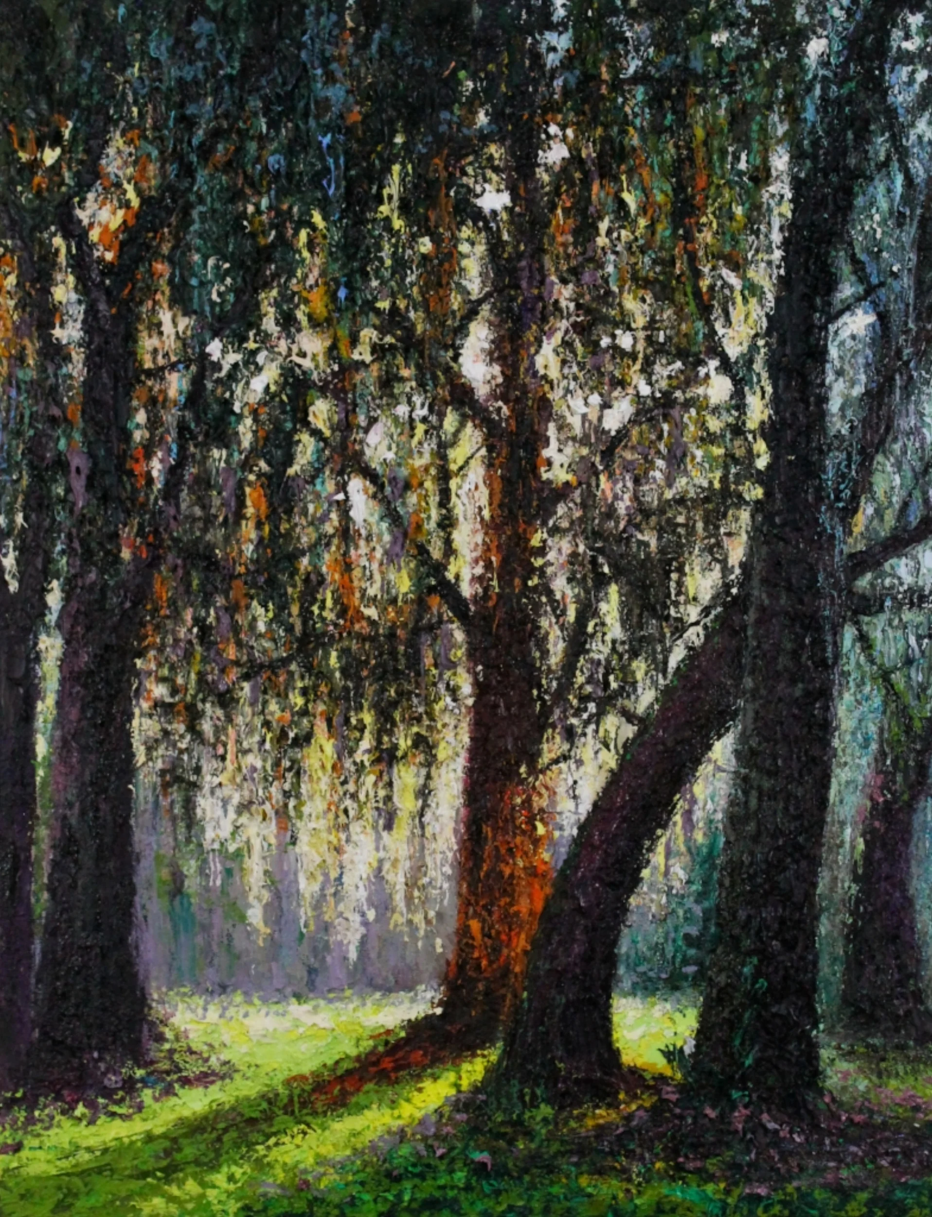 Perfect Bosque