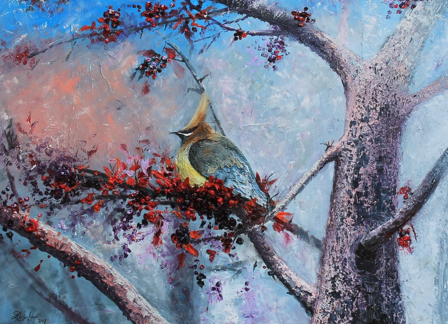 Cedar Waxwing 