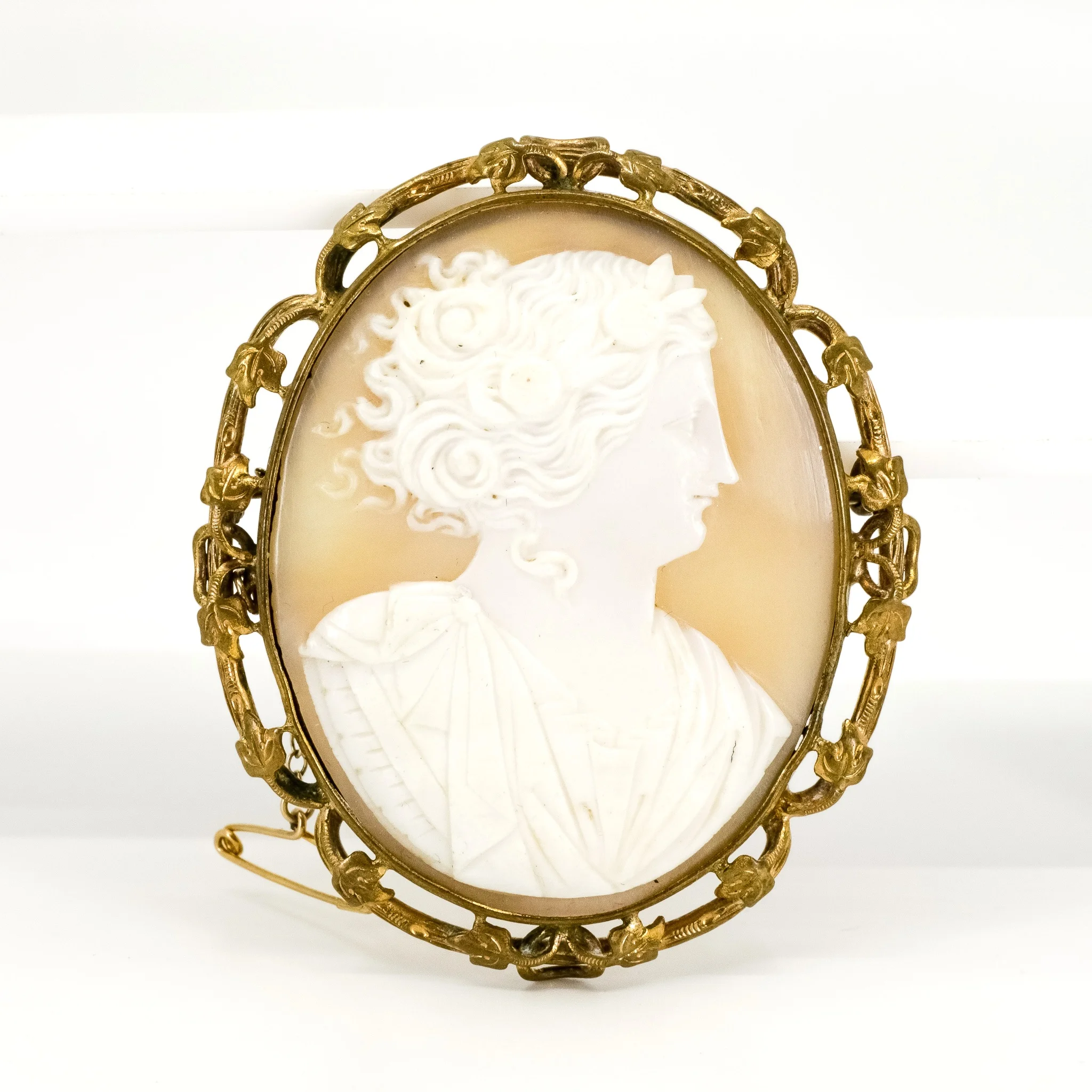 Vintage Raised Relief Cameo Brooch in Dusty