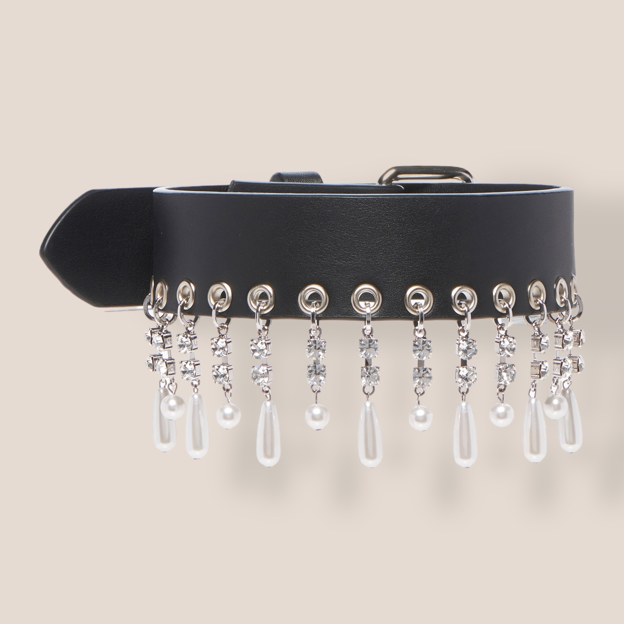 alessandra-rich-black-leather-and-crystal-fringe-choker.PNG
