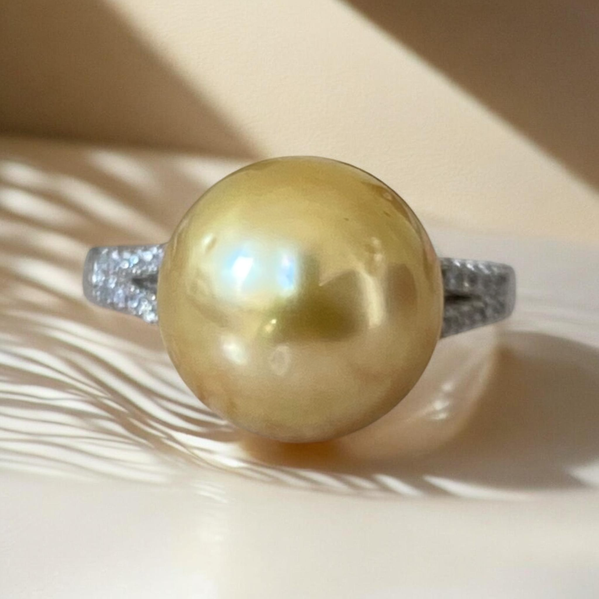 South Sea, Gold Pearl Ring in Split Shank Silver Setting0.PNG