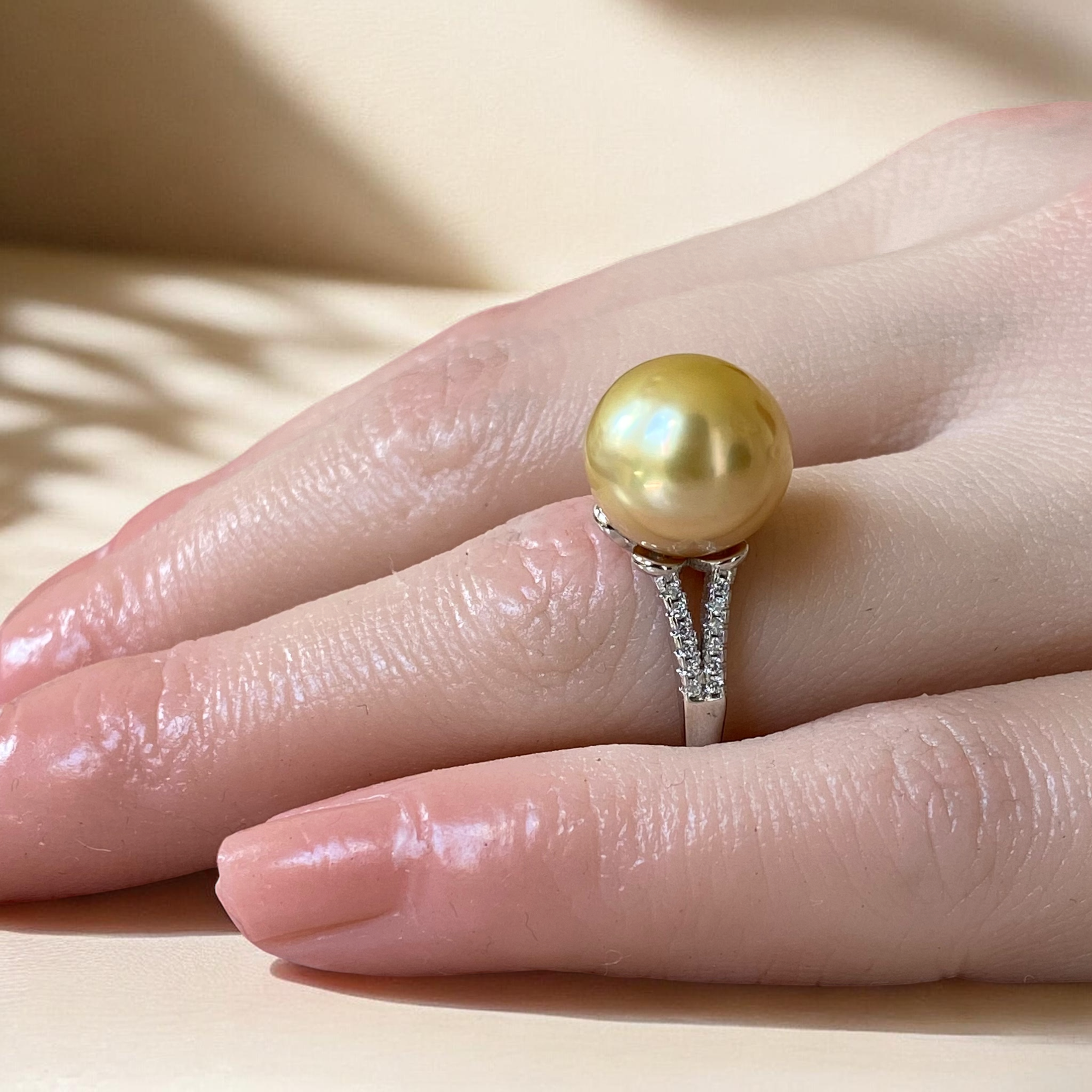 South Sea, Gold Pearl Ring in Split Shank Silver Setting8.PNG