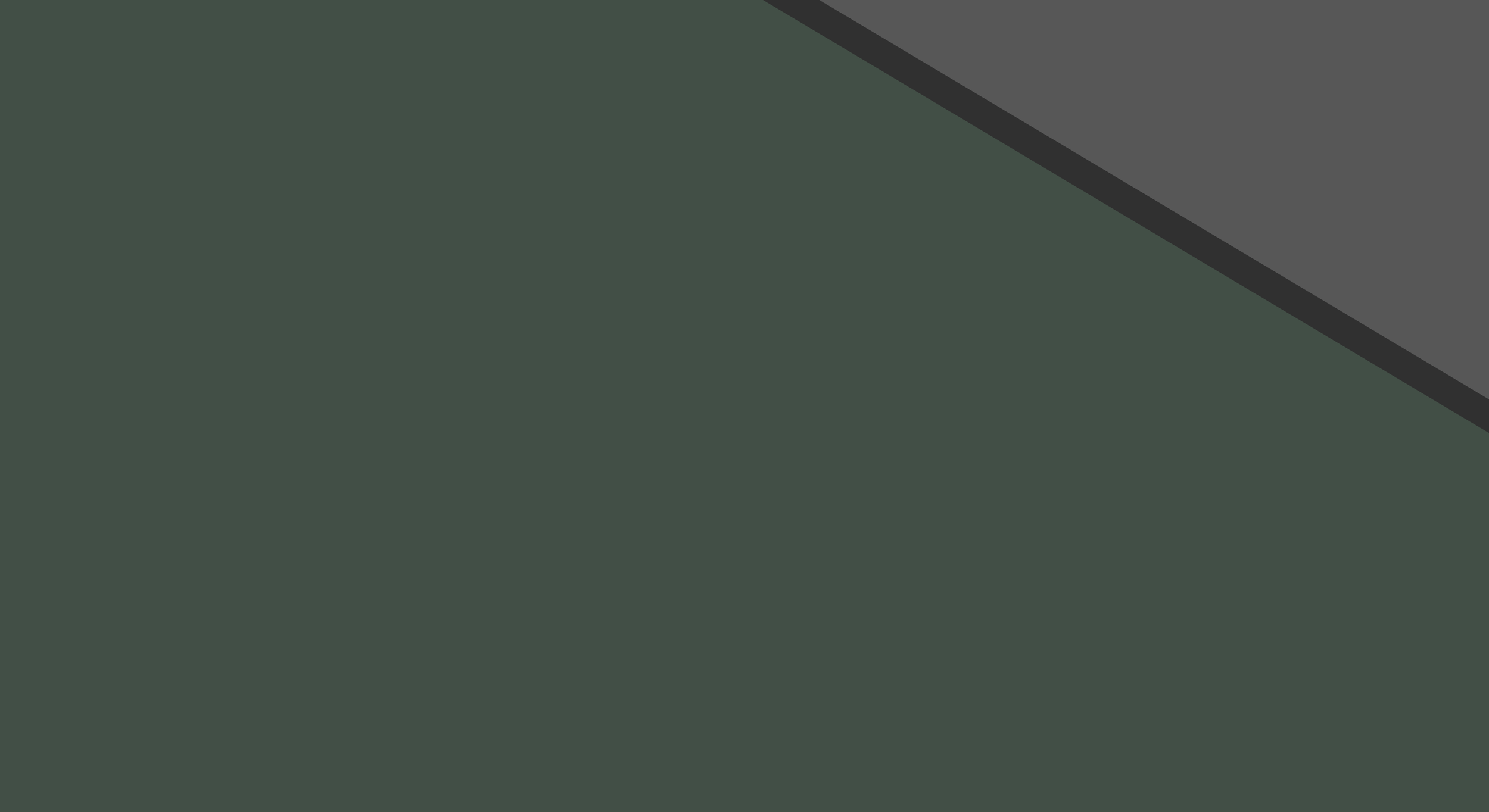 taxband banner black top.png