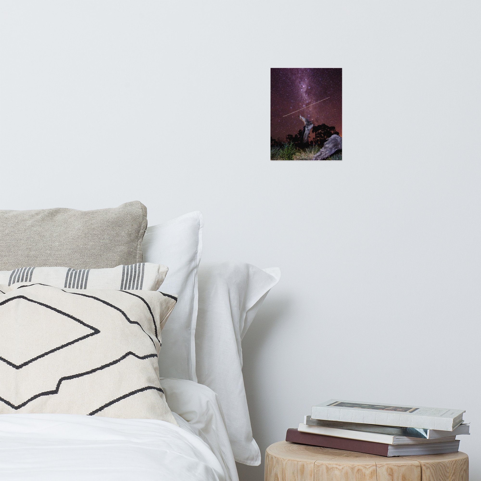 enhanced-matte-paper-poster-(in)-8x10-front-63ed735169e0f.jpg