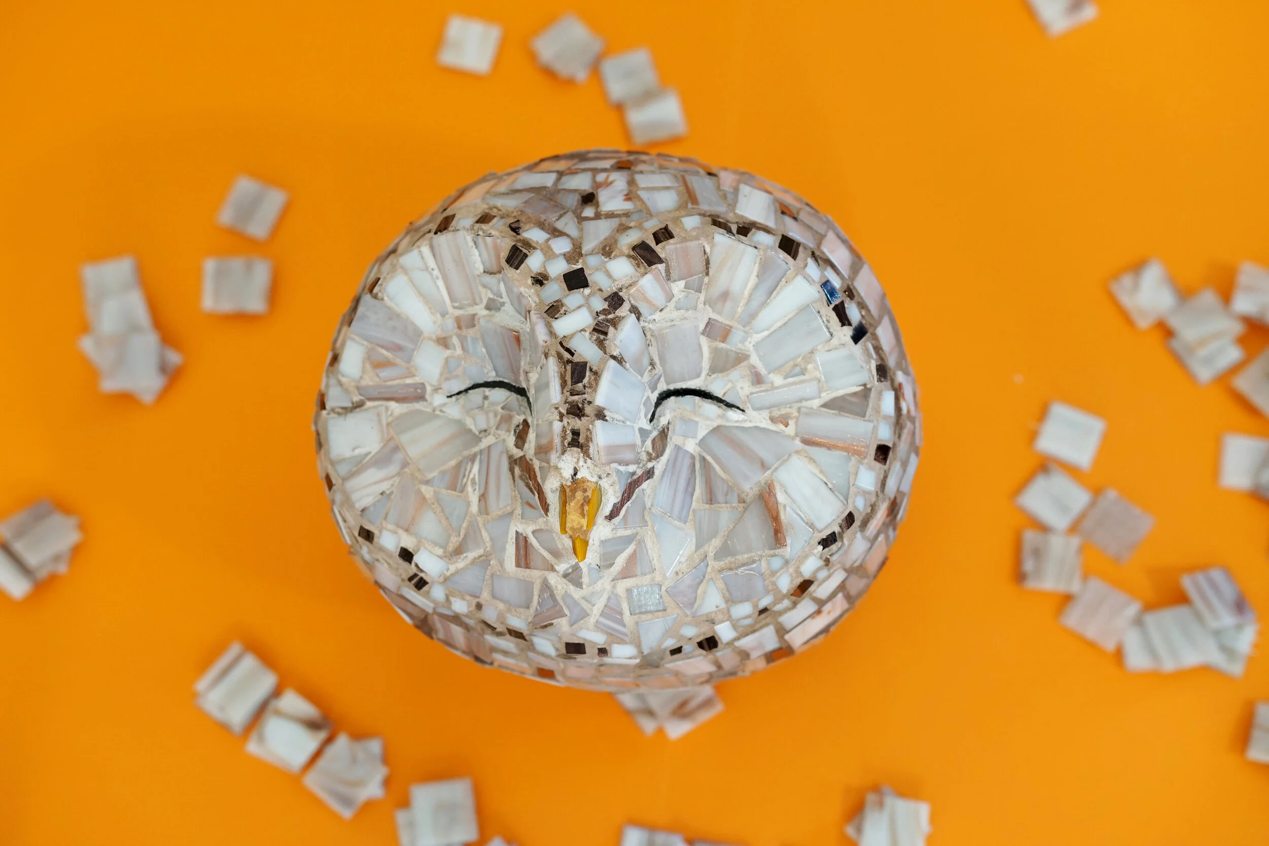 1. sovande uggla.JPG