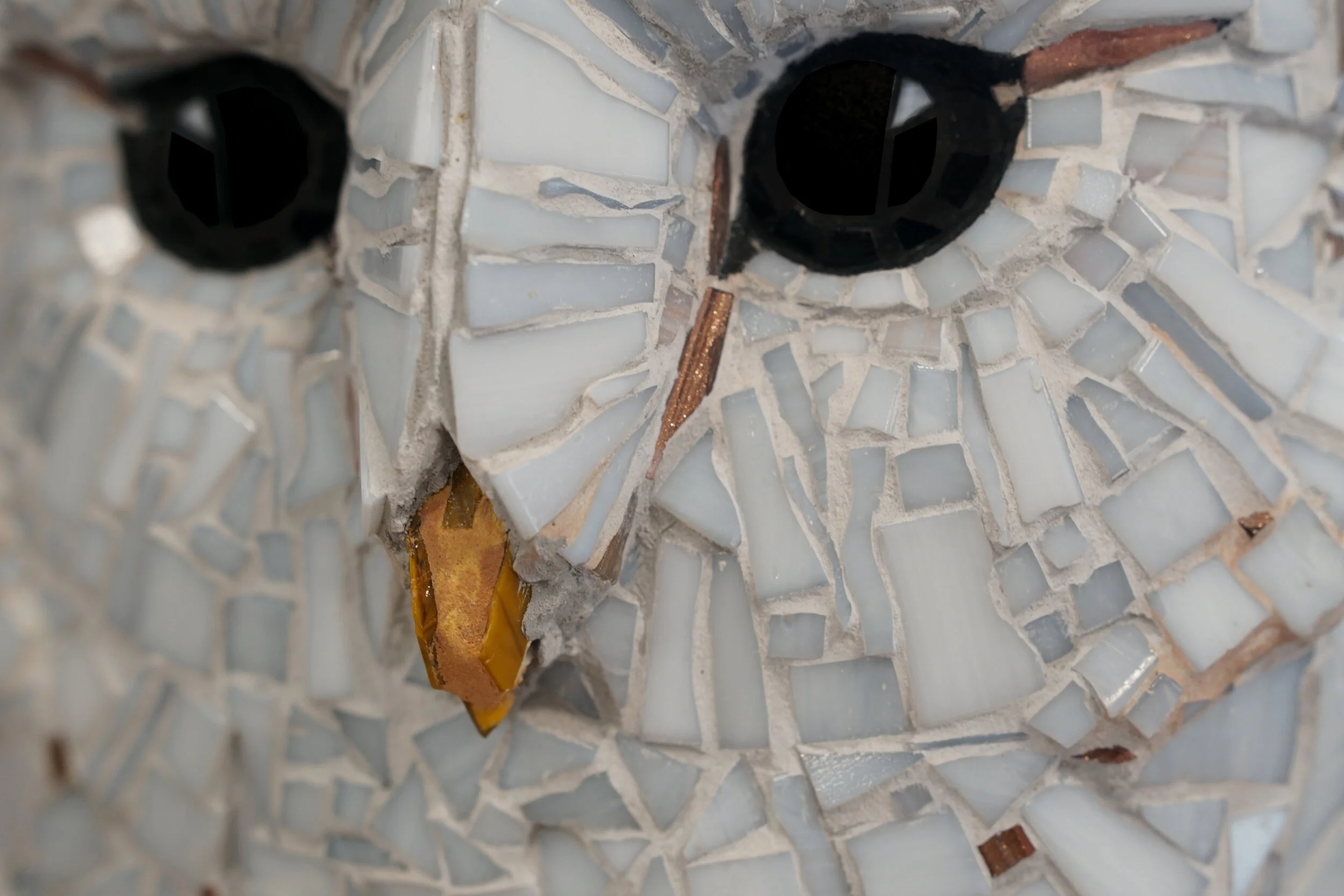 3 Tornuggla närbild.JPG