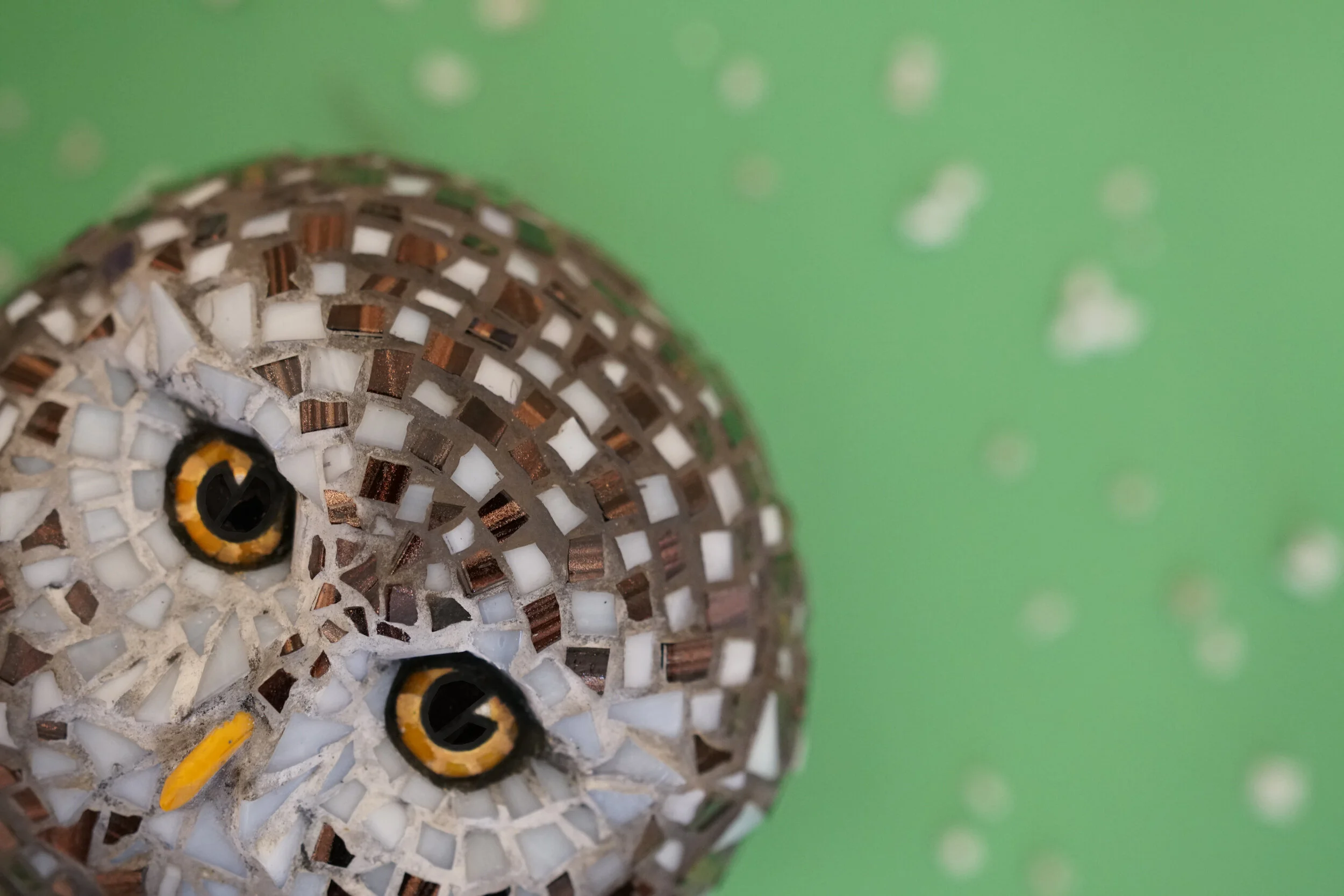 2. Sparvuggla tittut.JPG