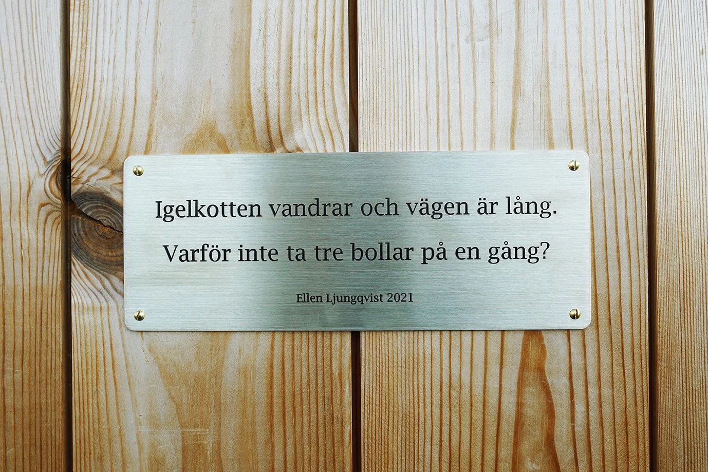 9. Skylt.JPG