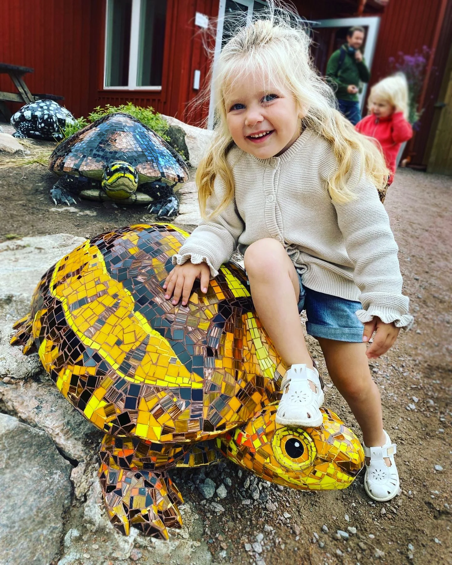 2. Barn sköldpadda.JPEG