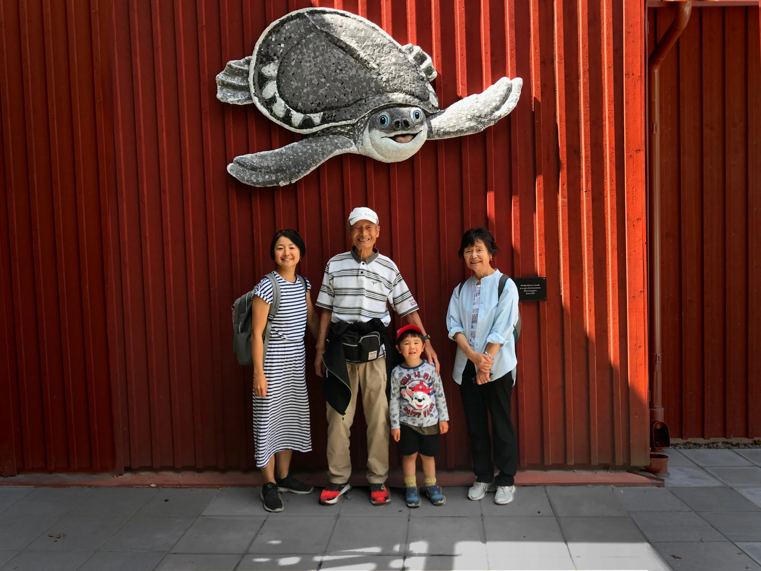 2. Nyagguineasköldpadda.JPG