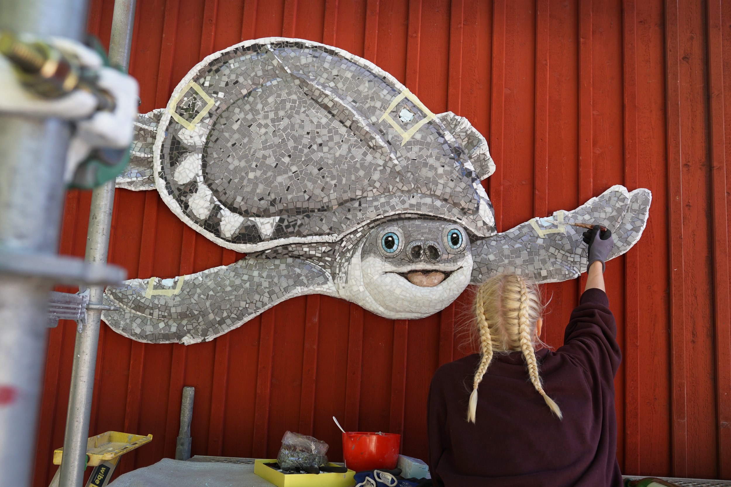4. Uppsättning på vägg mosaikrelief - NyaGuineasköldpadda.JPG