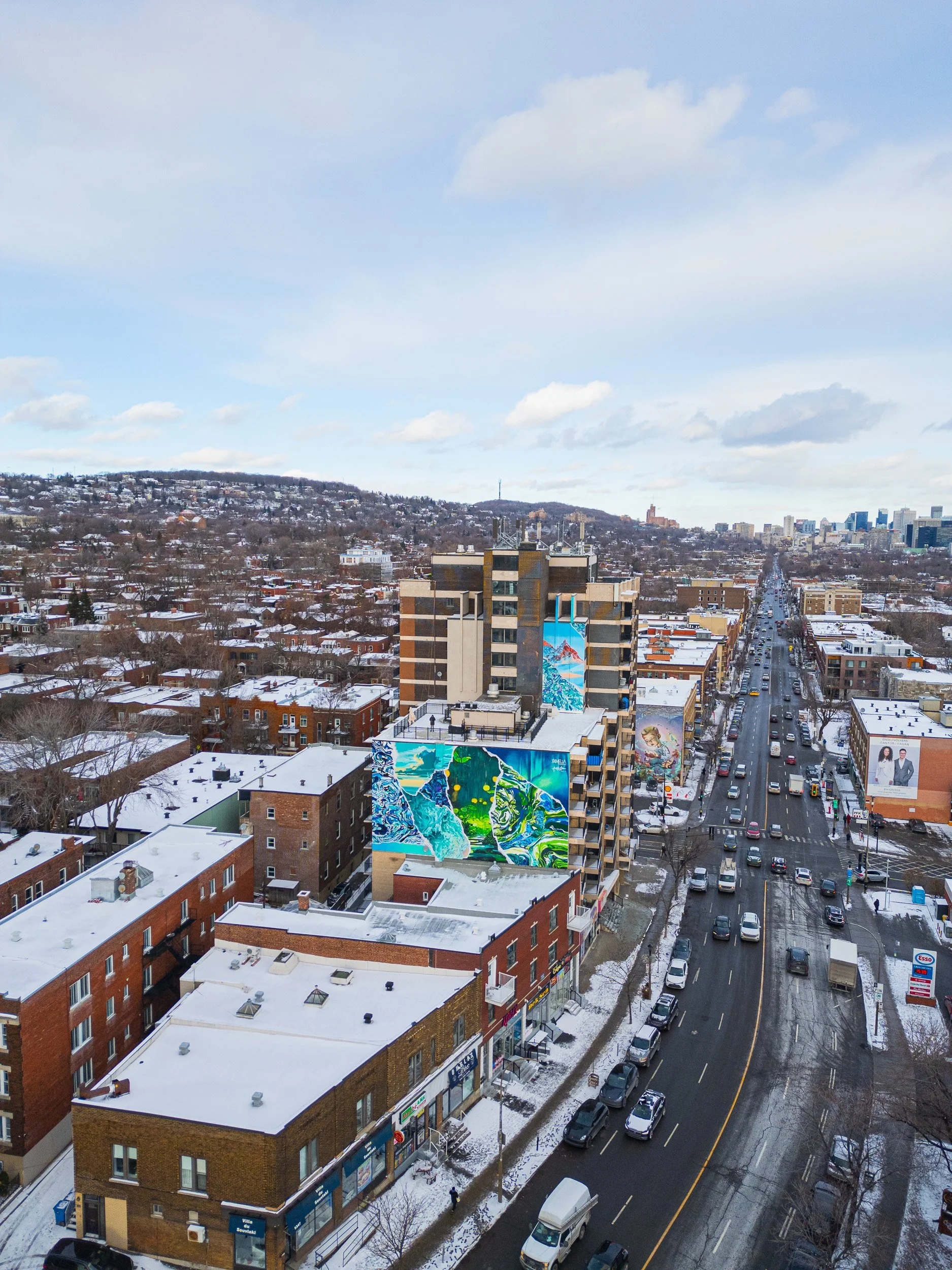 ameliahadouchi-5311murale-5.jpg