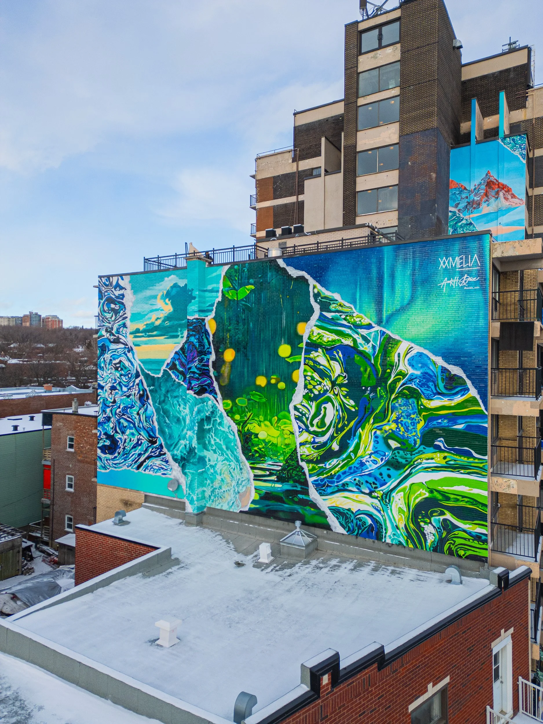 ameliahadouchi-5311murale-7.jpg
