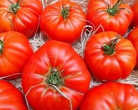 marmande-tomato-32384_w300.jpg