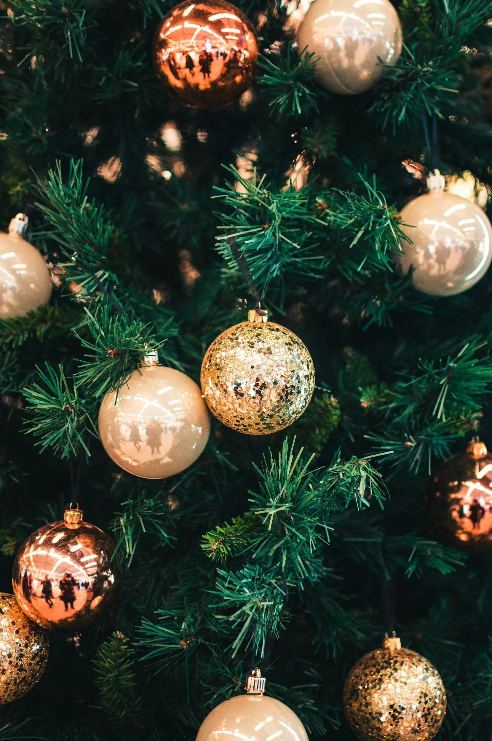 unsplash-image-8XrYxWntkcM.jpg