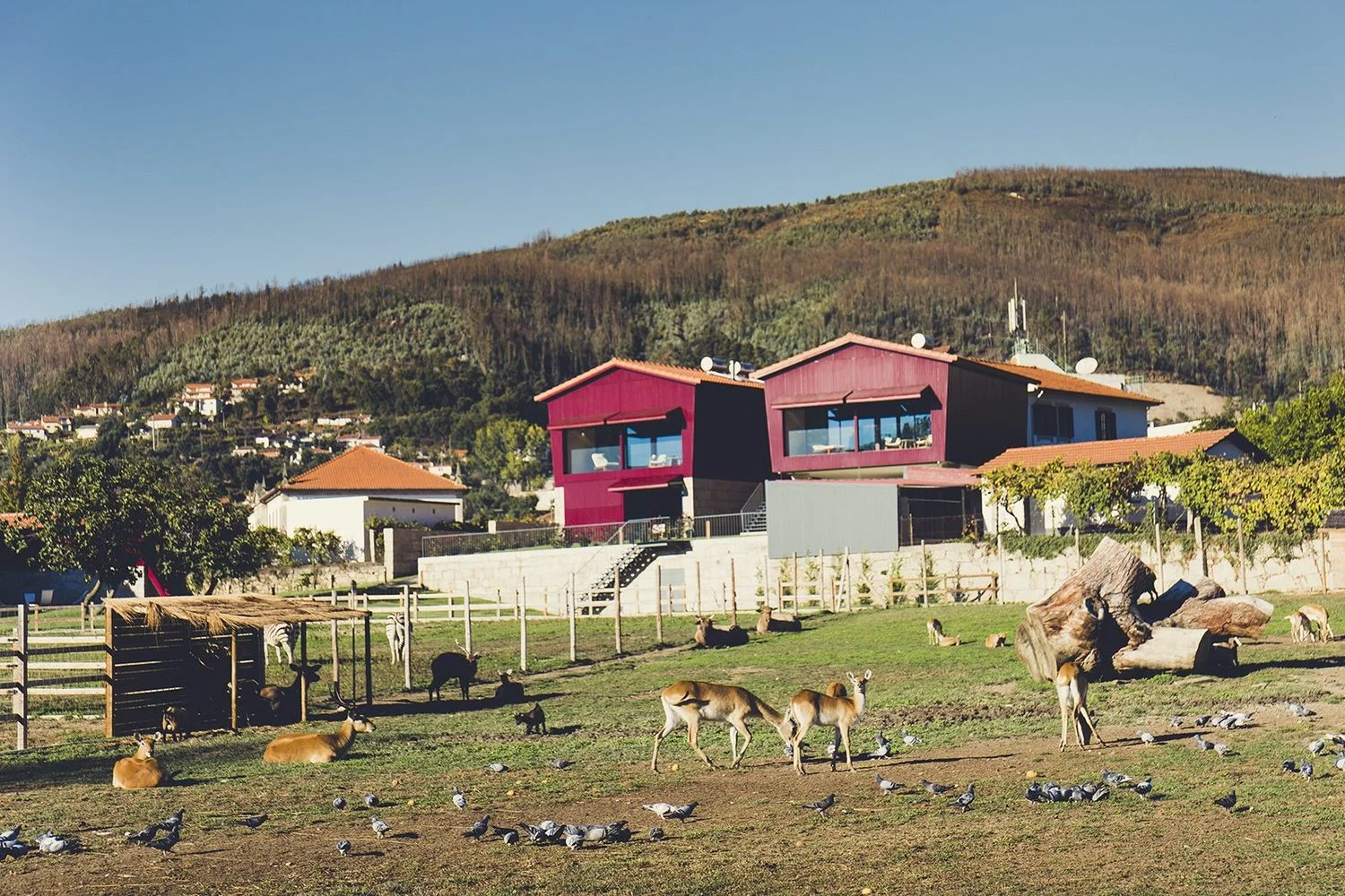 Quinta_08.jpg