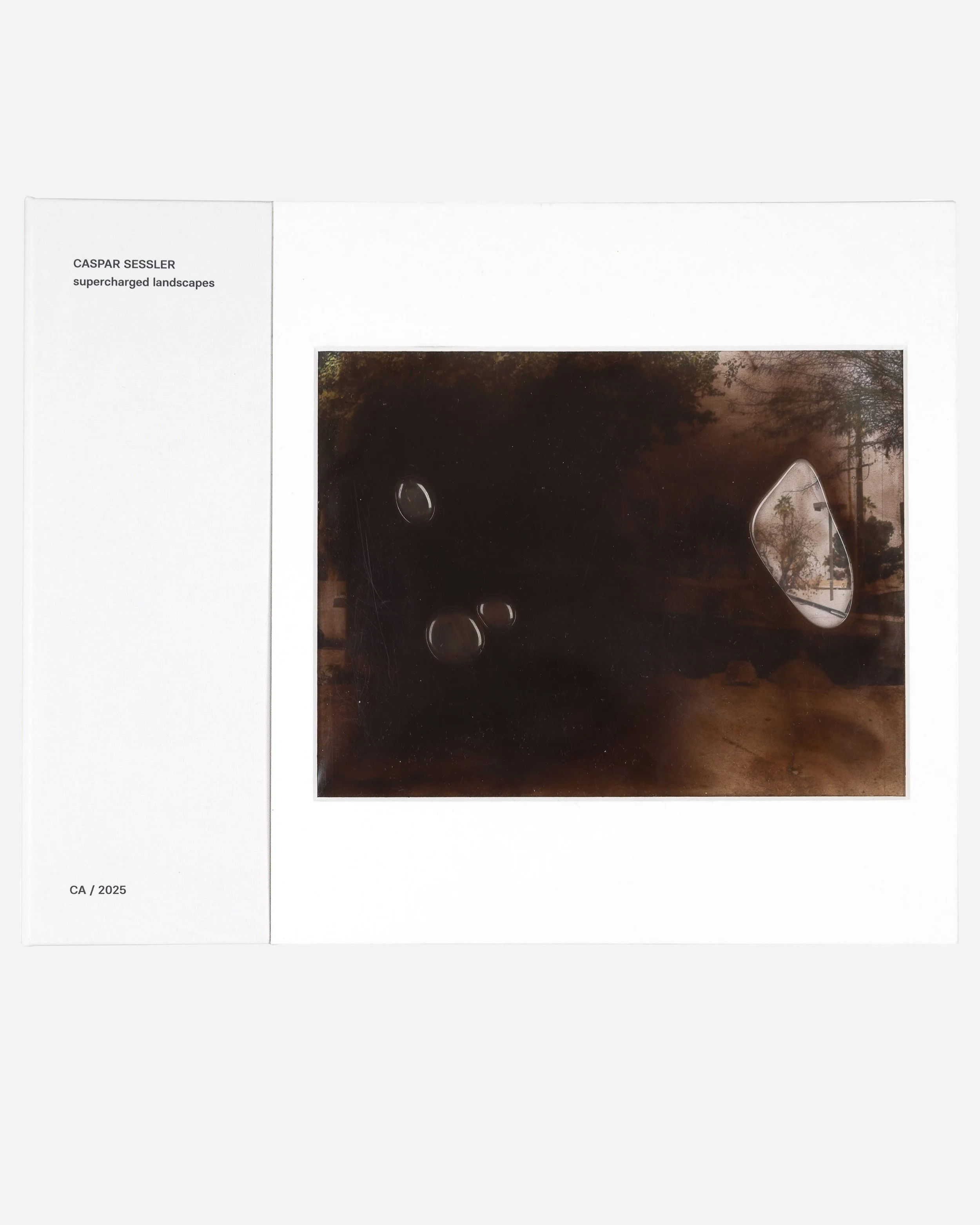 supercharged landscapes