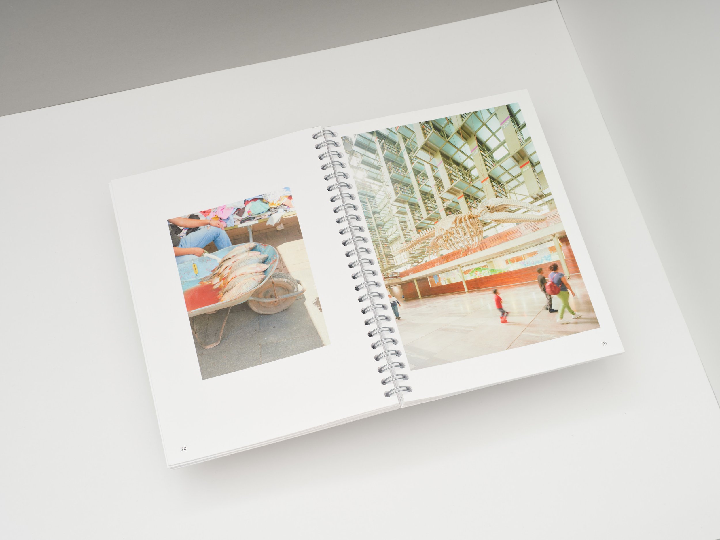 CS20250426-FREI-serendipity-dispatch-050-web.jpg