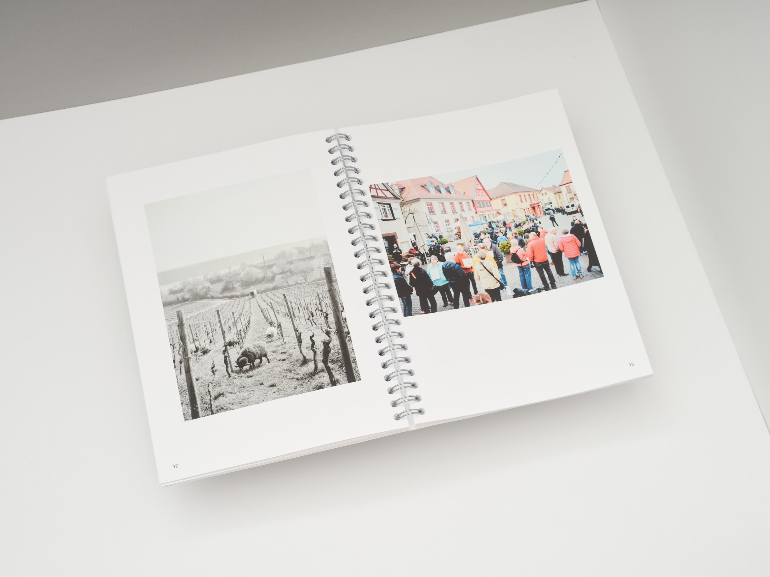 CS20250426-FREI-serendipity-dispatch-076-web.jpg