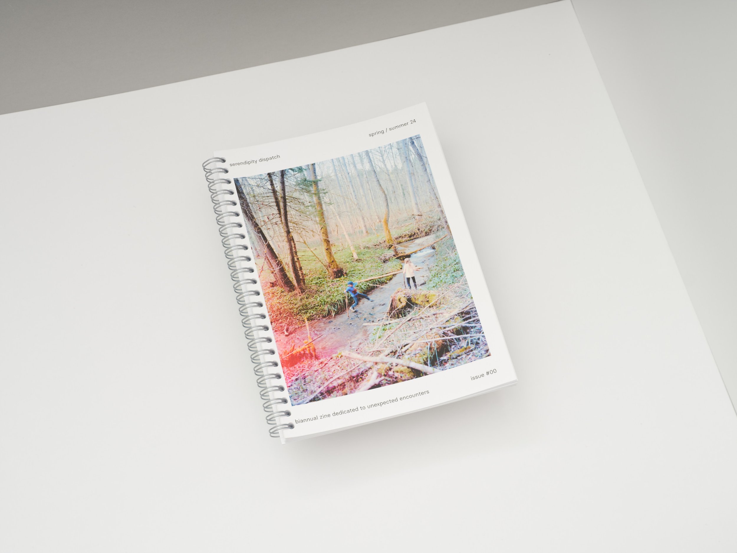 CS20250426-FREI-serendipity-dispatch-070-web.jpg