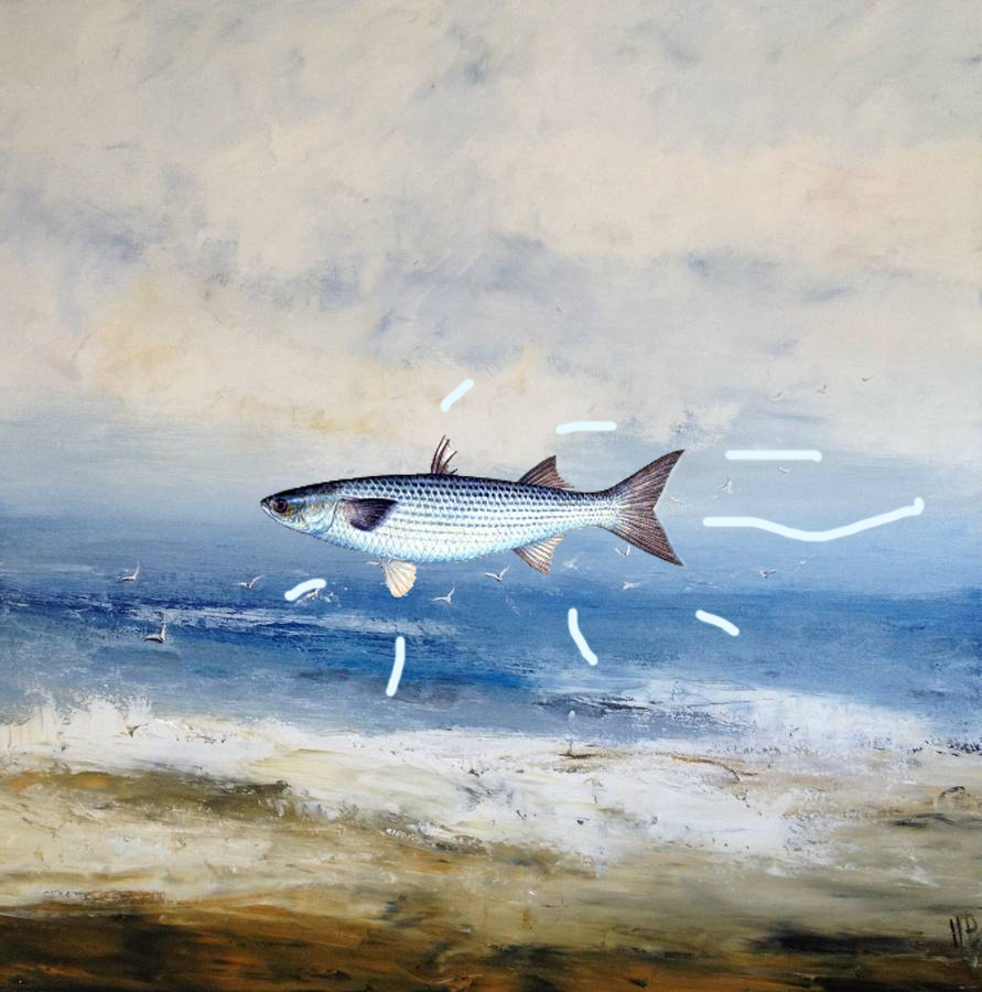 ‘Leaping Mullet’