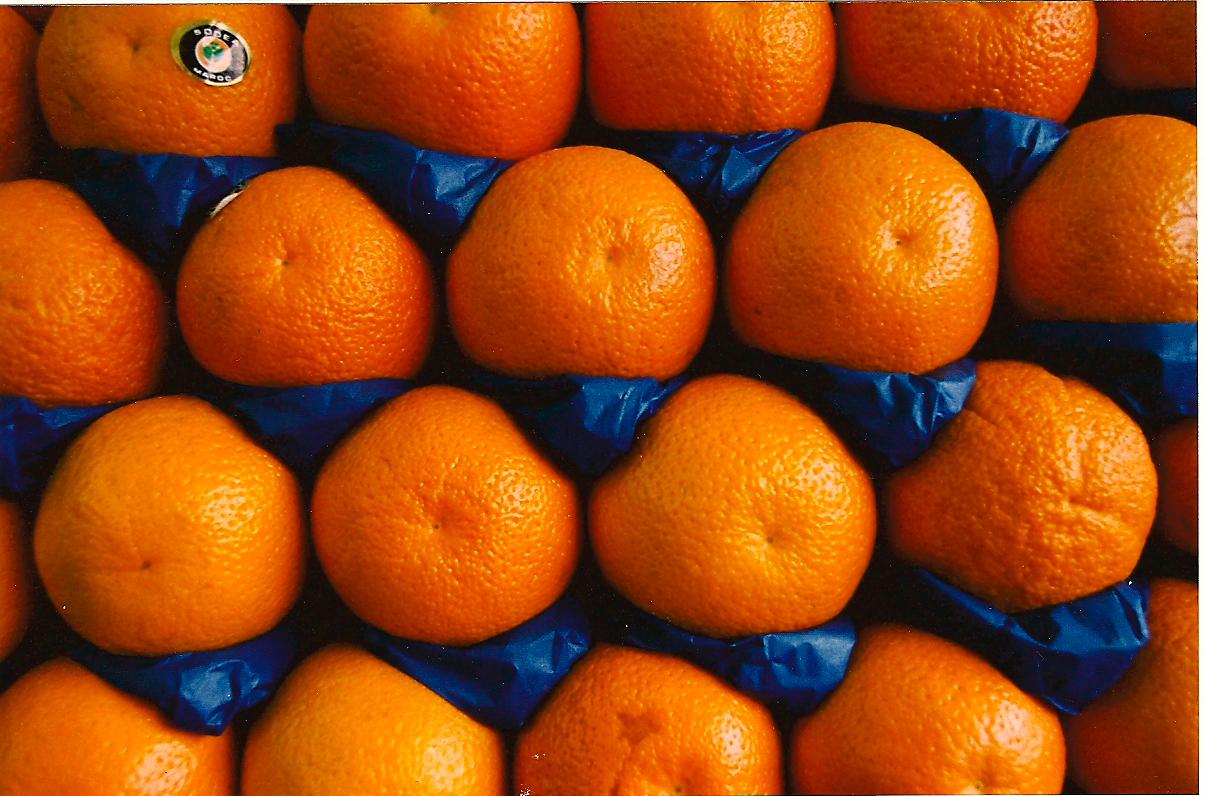 oranges.jpg