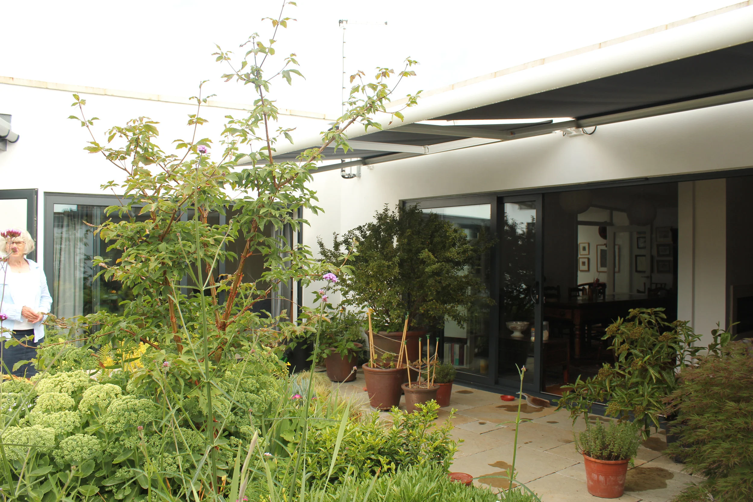 CANOPY2.jpg