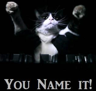 Copy of You Name It