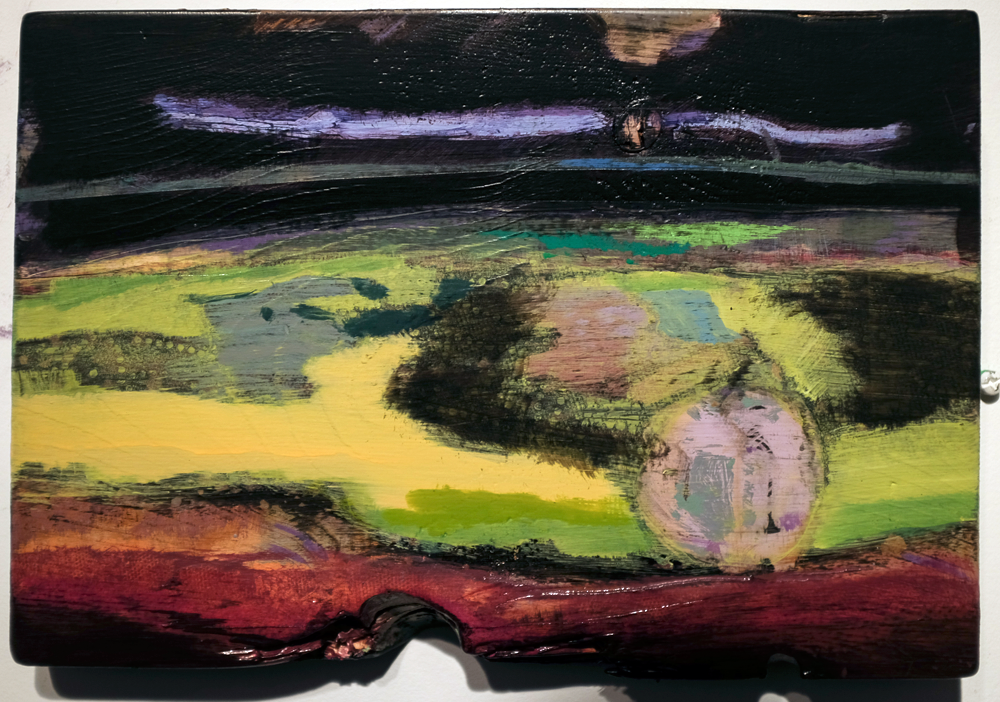 Scoured Land, acrylic on panel, 2012