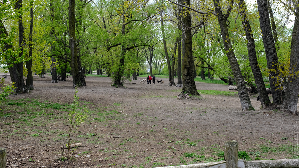 Cherry Beach, early spring