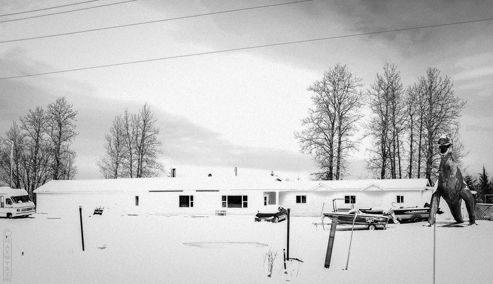 Dino and snow, Mattice, Ontario
