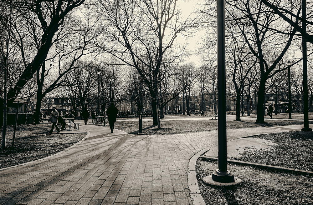 Grange Park, April 2018