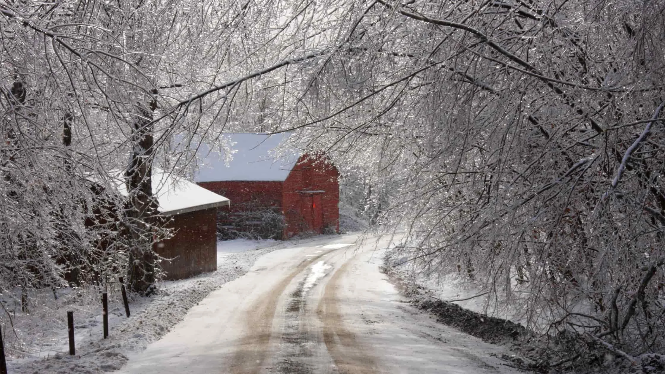 Snow and ice coat a rural road and surrounding trees, leading toward a red barn and outbuilding during winter storm conditions.