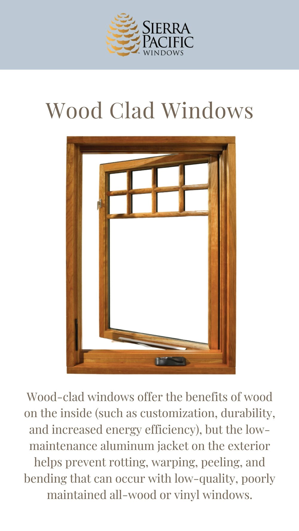 Wood Clad Windows