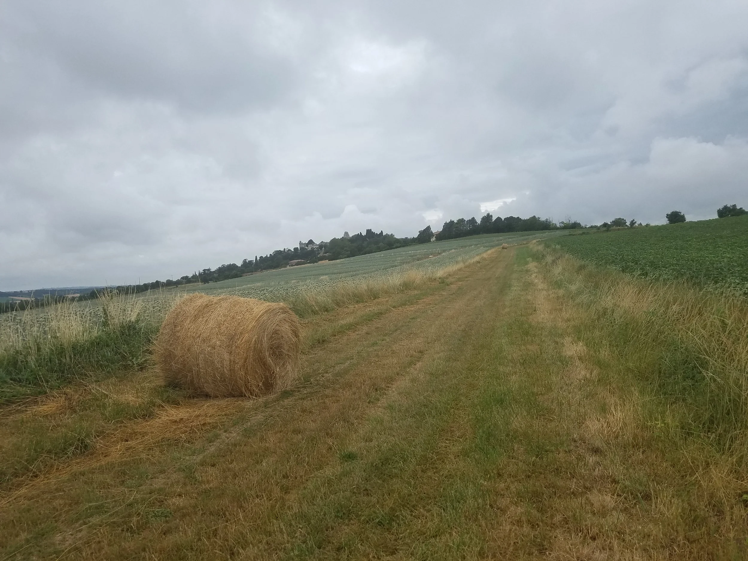 Countryside View to house and to Saint Julia July 9th 2019