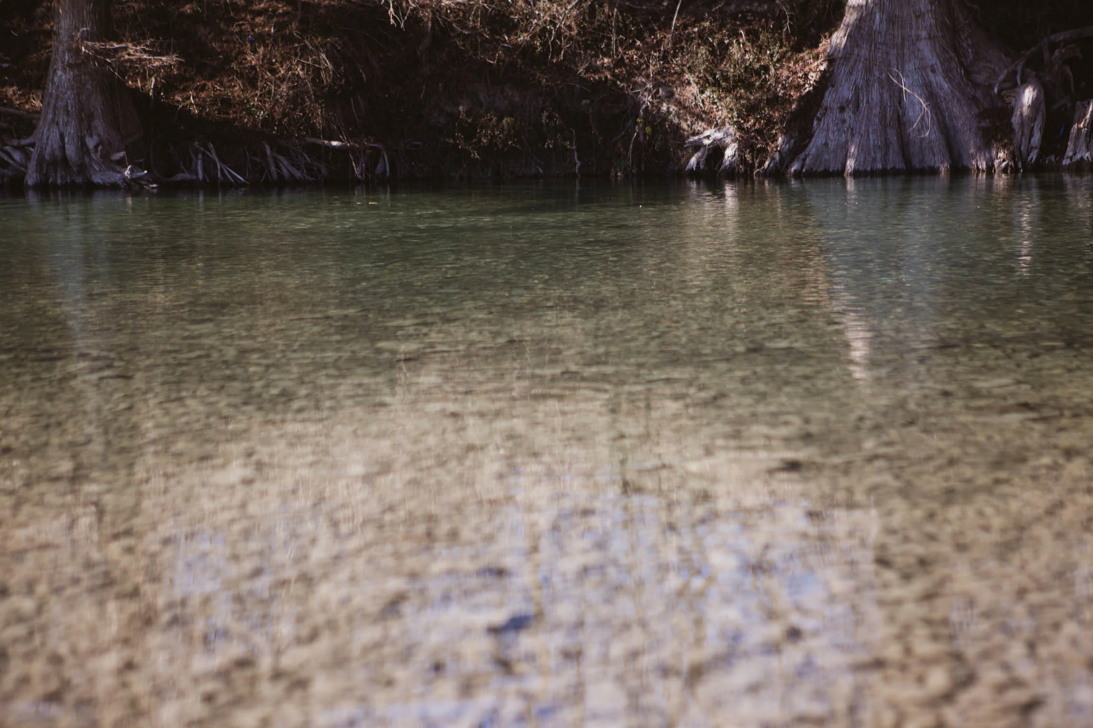 boerne_january2018-7.jpg