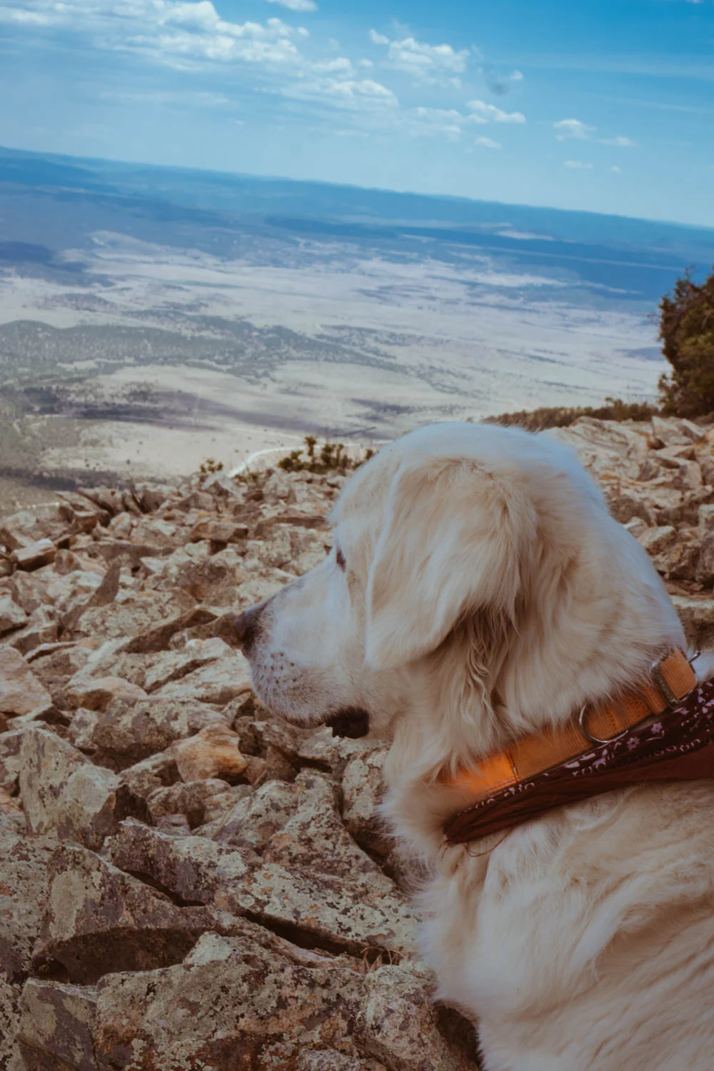 New-Mexico_kkdw-blog-04947.jpg