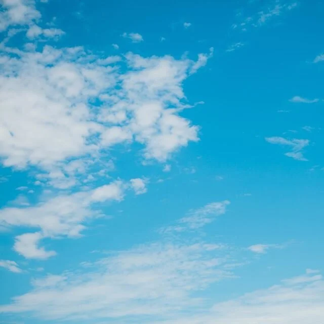 KKDW will be matching your donations up to a total of $1,500 in support of the Black Lives Matter movement. Make a donation to an organization supporting Black causes and forward your receipt, with subject line &ldquo;donation,&rdquo; to hello@kkdw.c