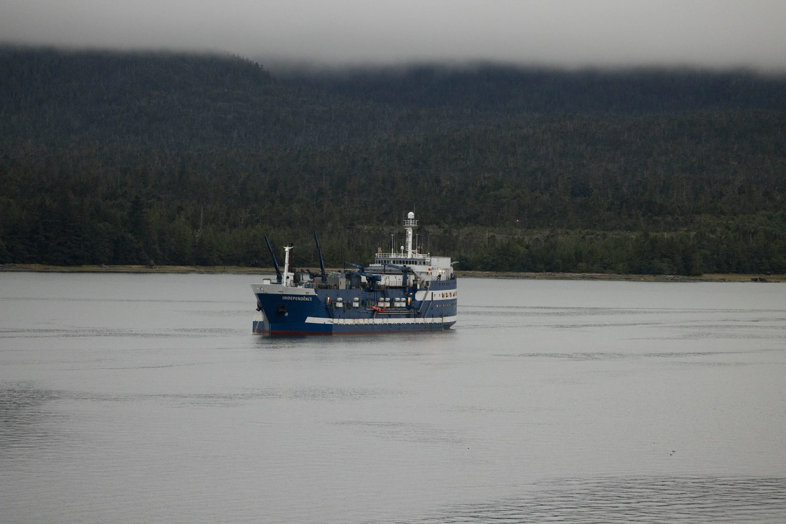 3F3A0137.jpg