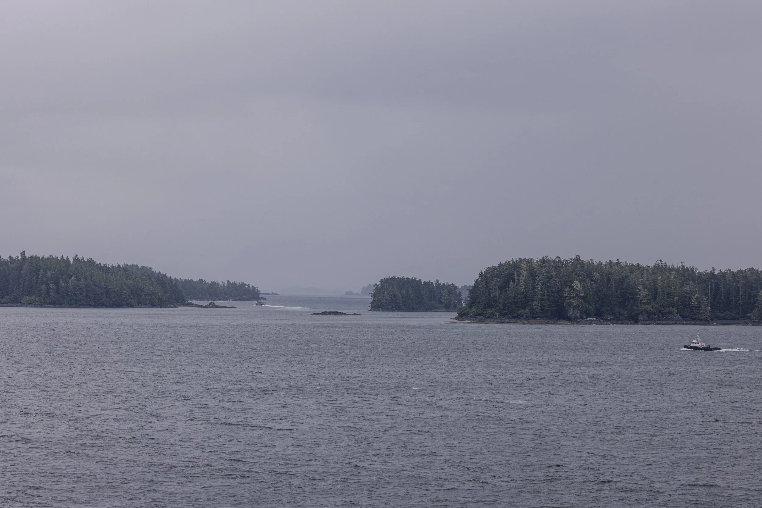 3F3A9157.jpg