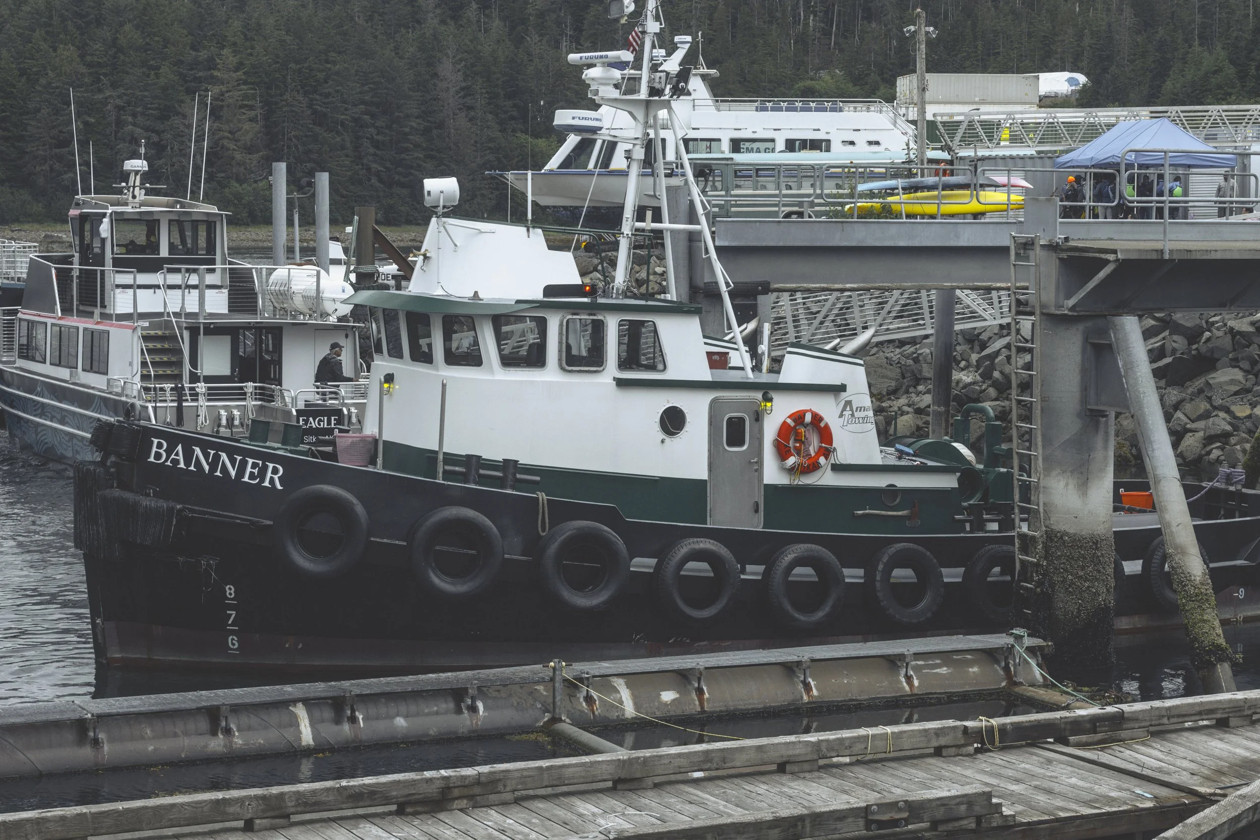3F3A9211.jpg