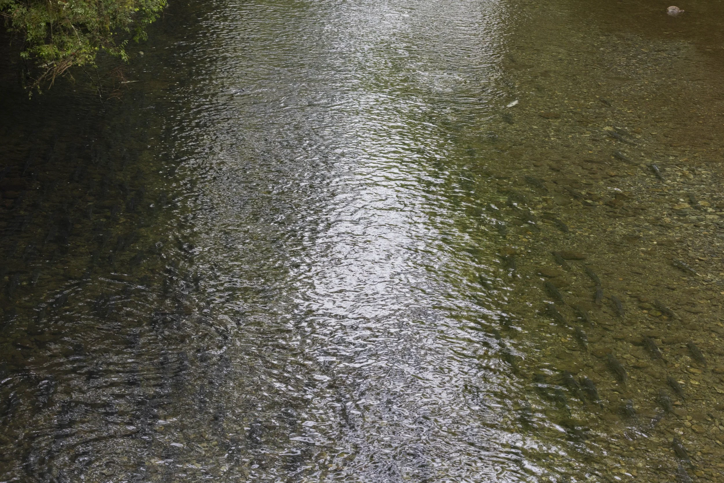 3F3A9308.jpg