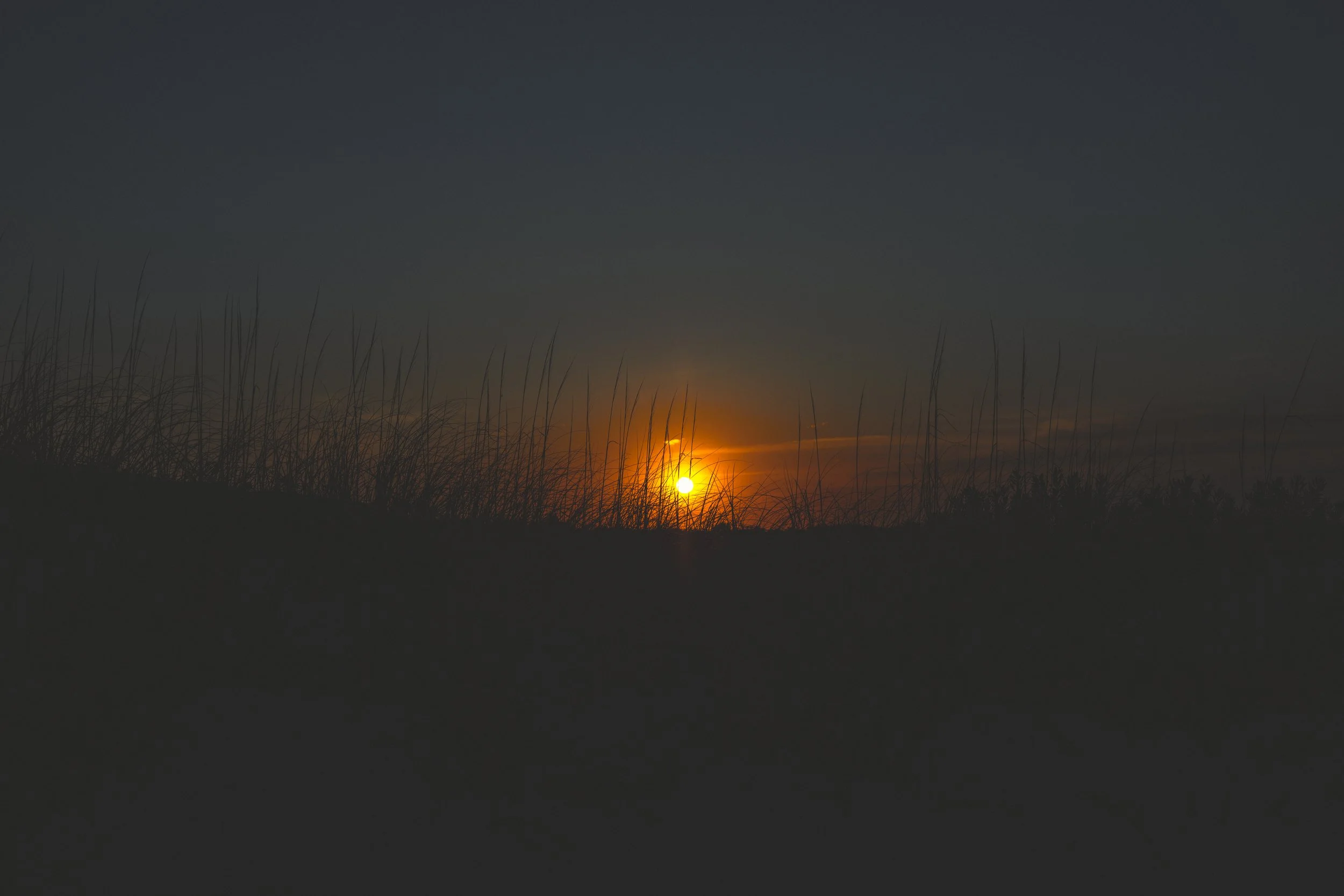 _F3A7755.jpg