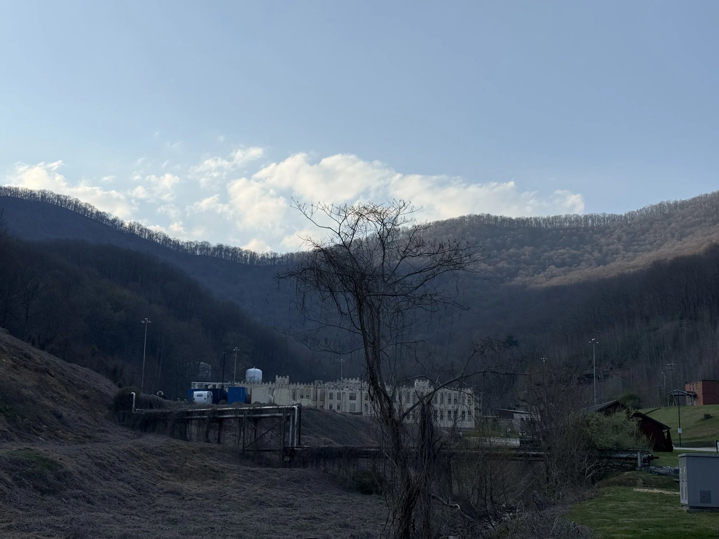 IMG_5529.jpeg
