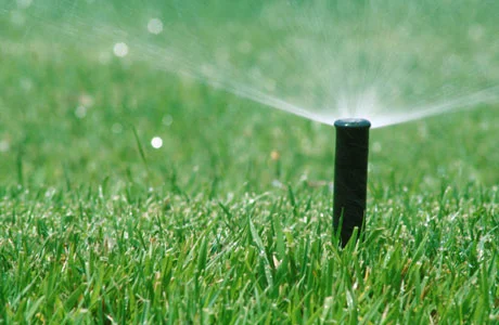 Lawn-Sprinkler460x300.jpg